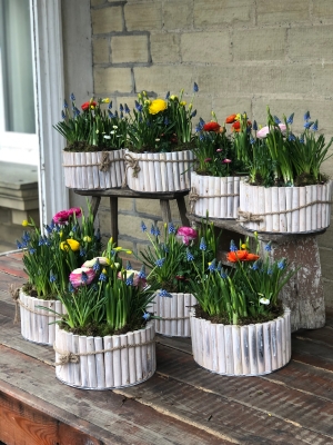 Spring Planter