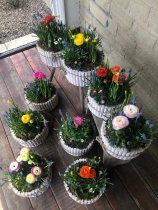 Spring Planter